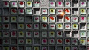 Desert Botanical Garden of Phoenix Recognizes Donors with the “Tending the Garden” Wall